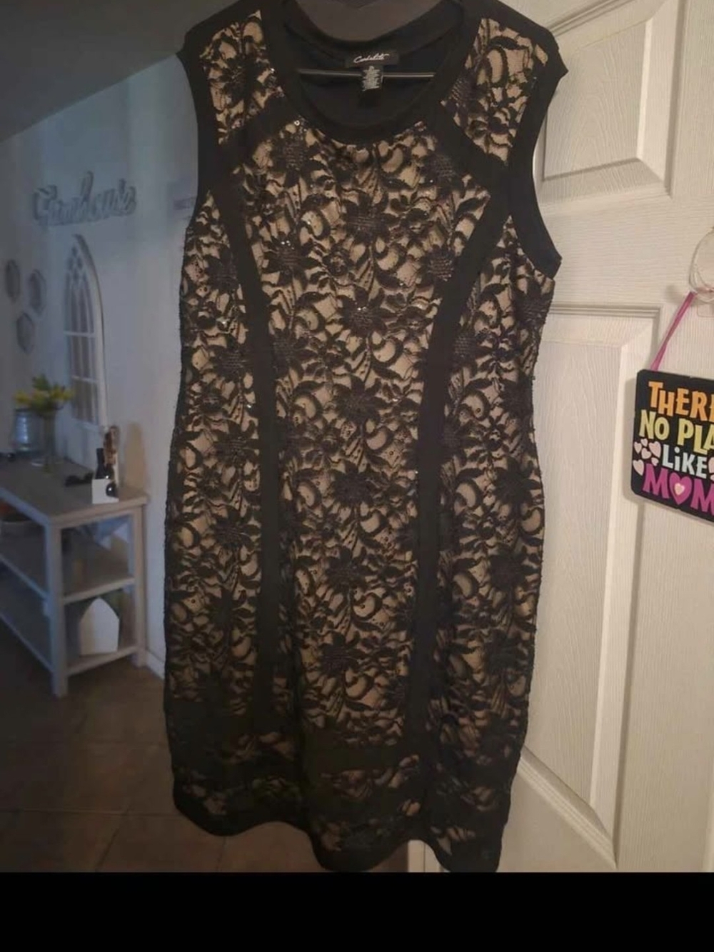 Black Lace Overlay Dress with Nude Lining